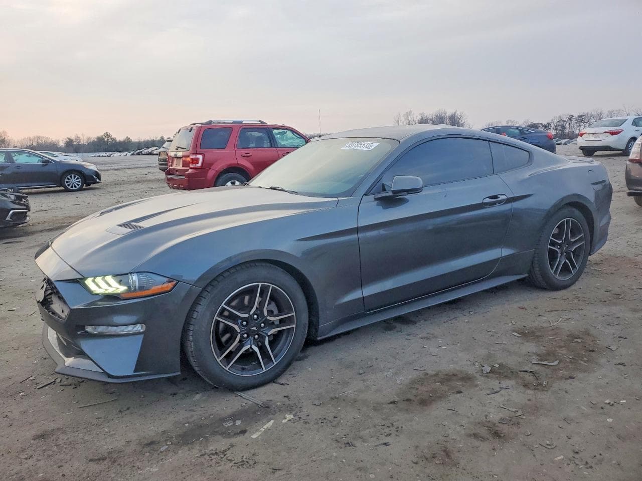 MUSTANG