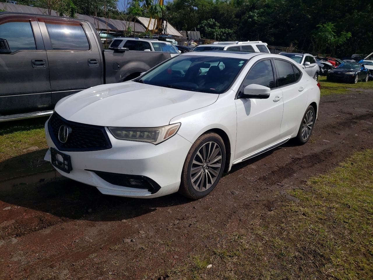 TLX