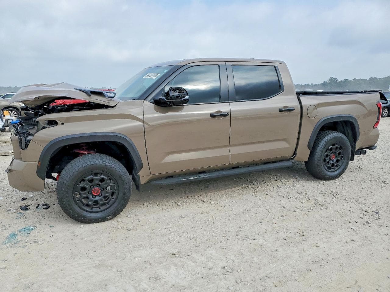 TUNDRA