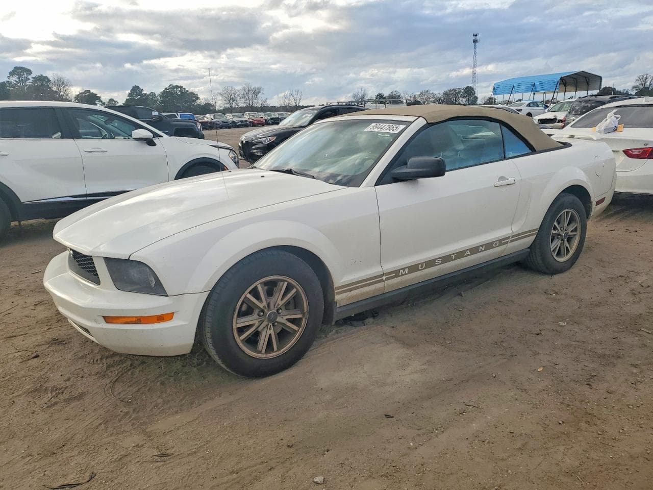 MUSTANG
