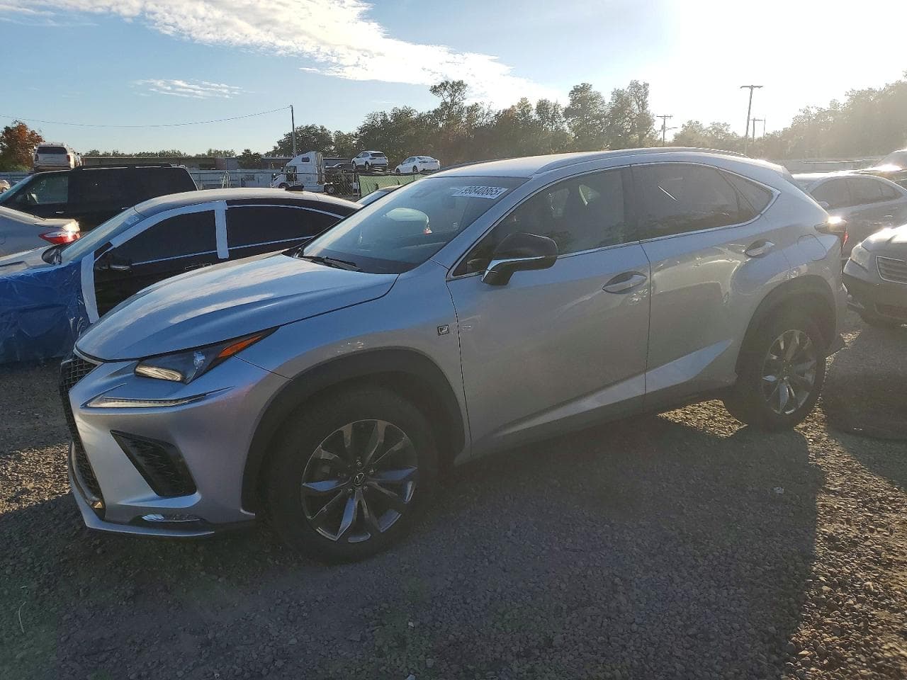 NX