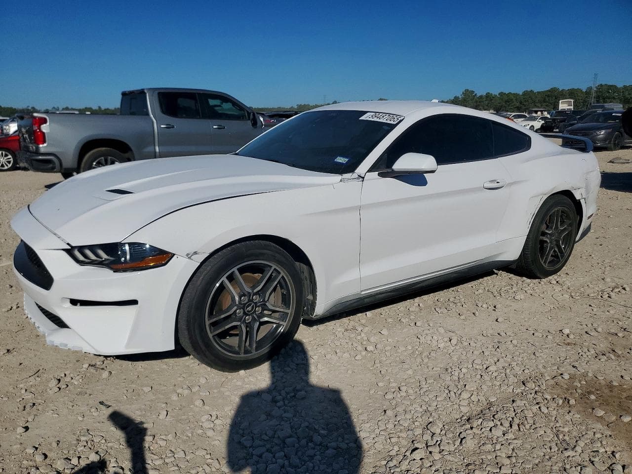 MUSTANG