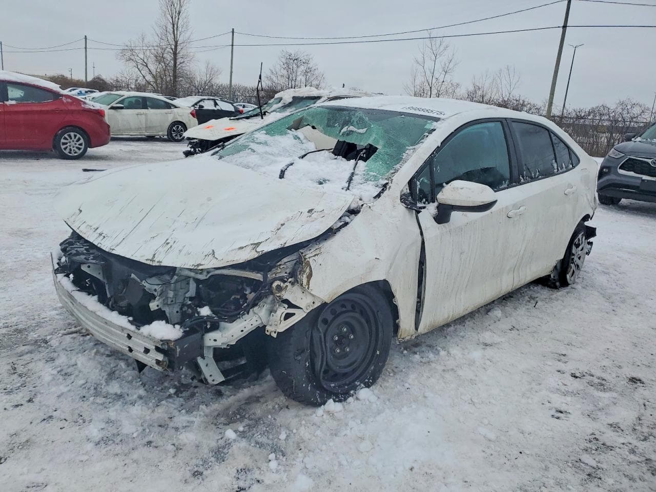 COROLLA
