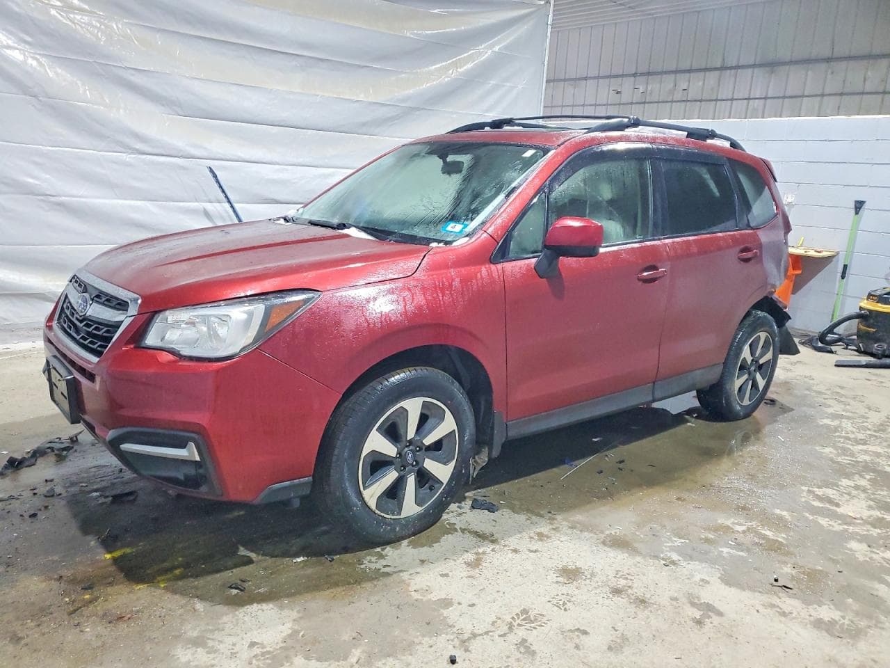 FORESTER