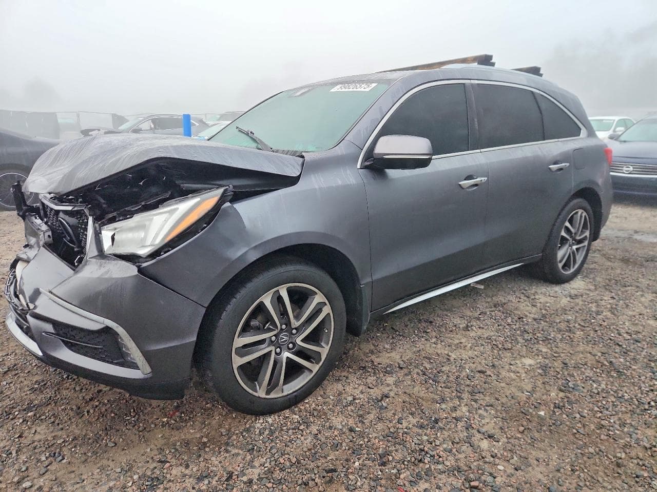 MDX