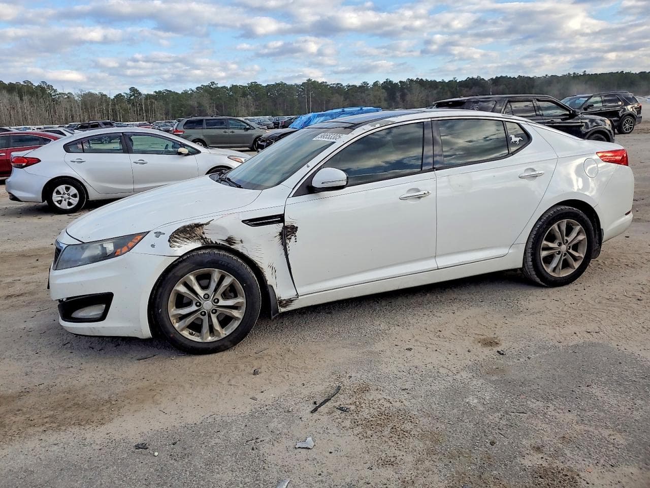 OPTIMA