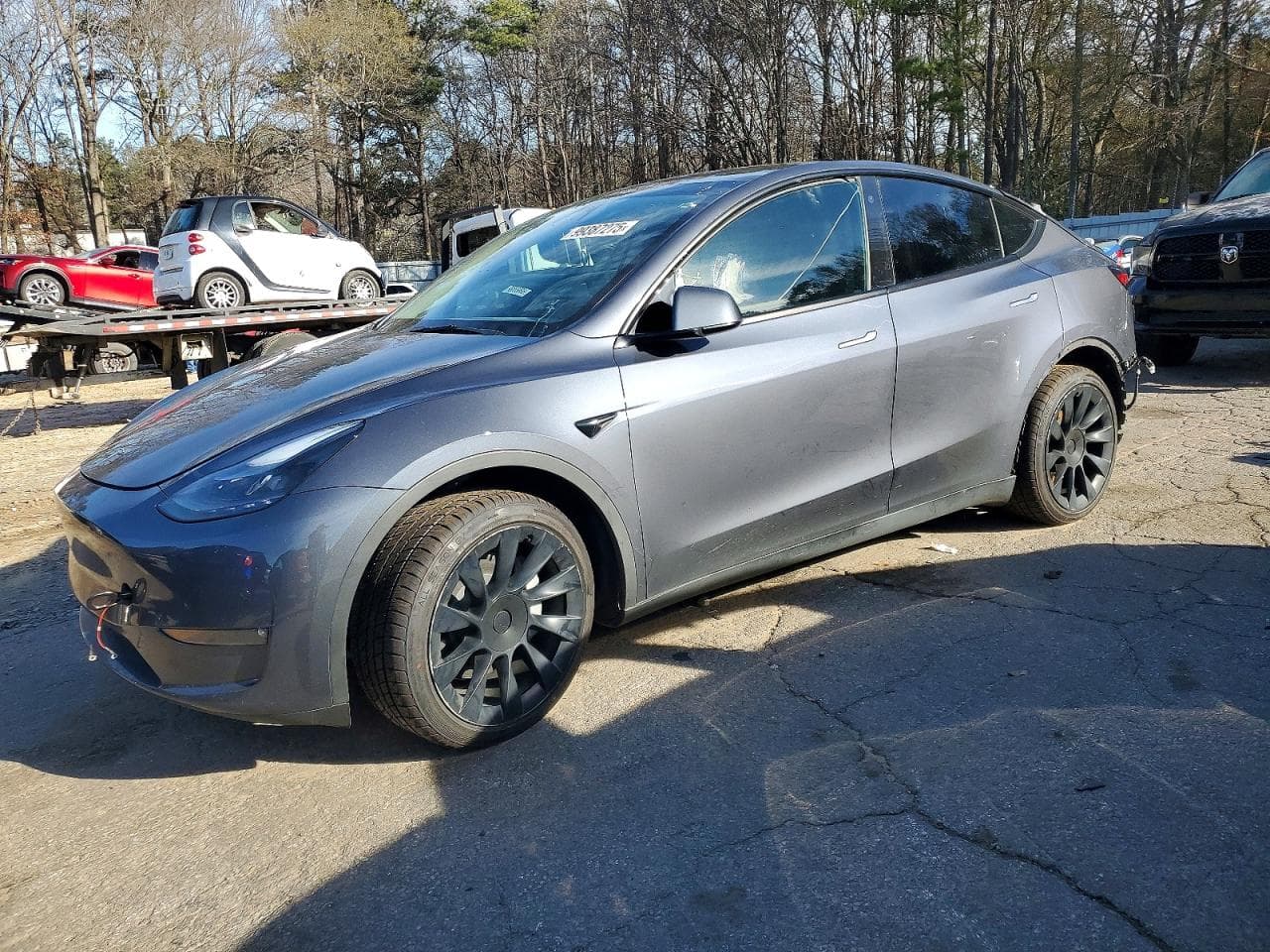 MODEL Y
