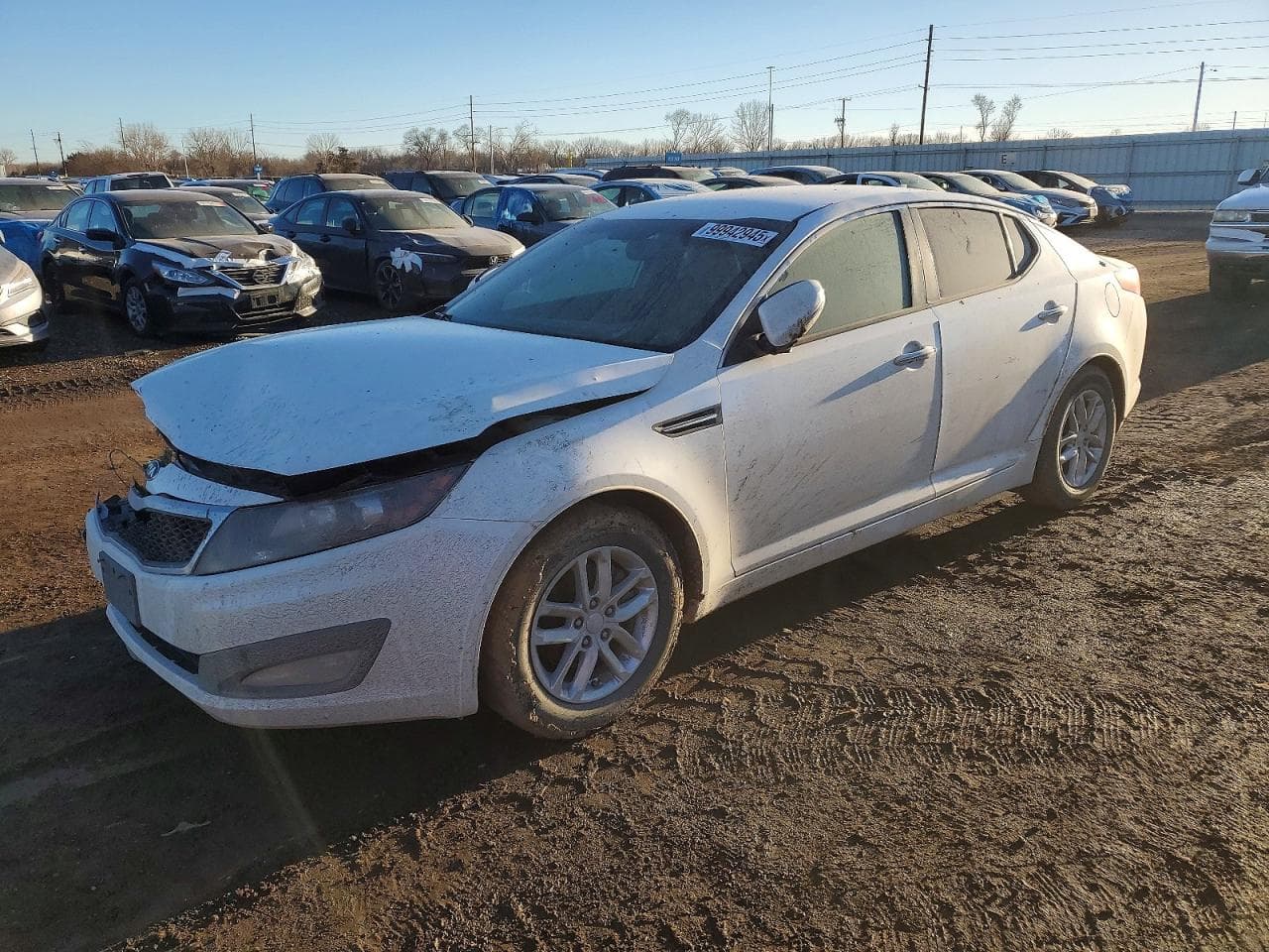 OPTIMA