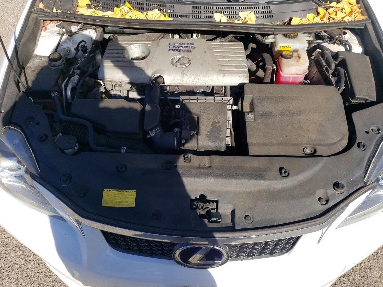 Foto 11