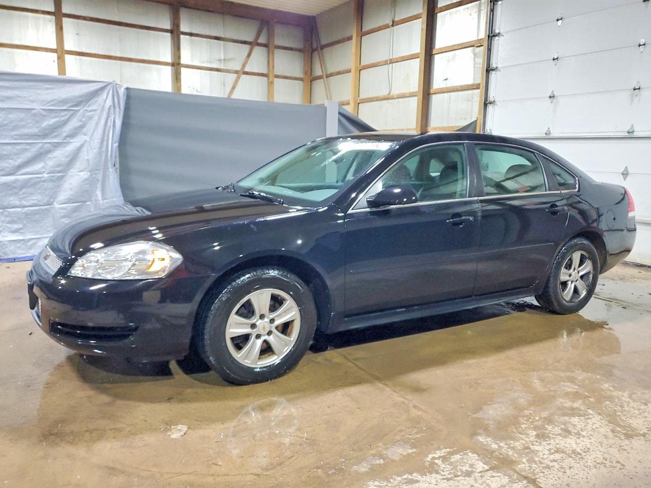 IMPALA