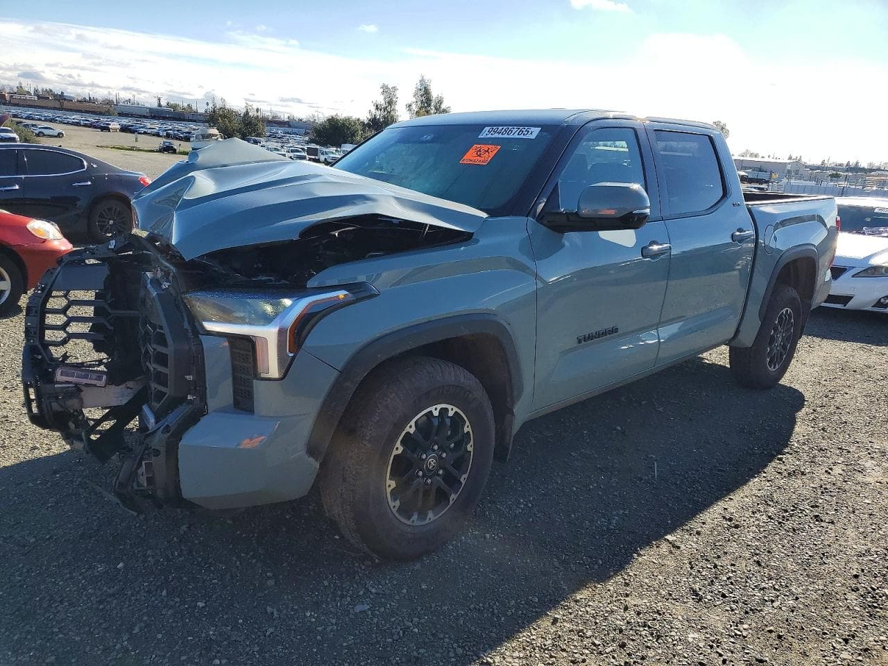TUNDRA