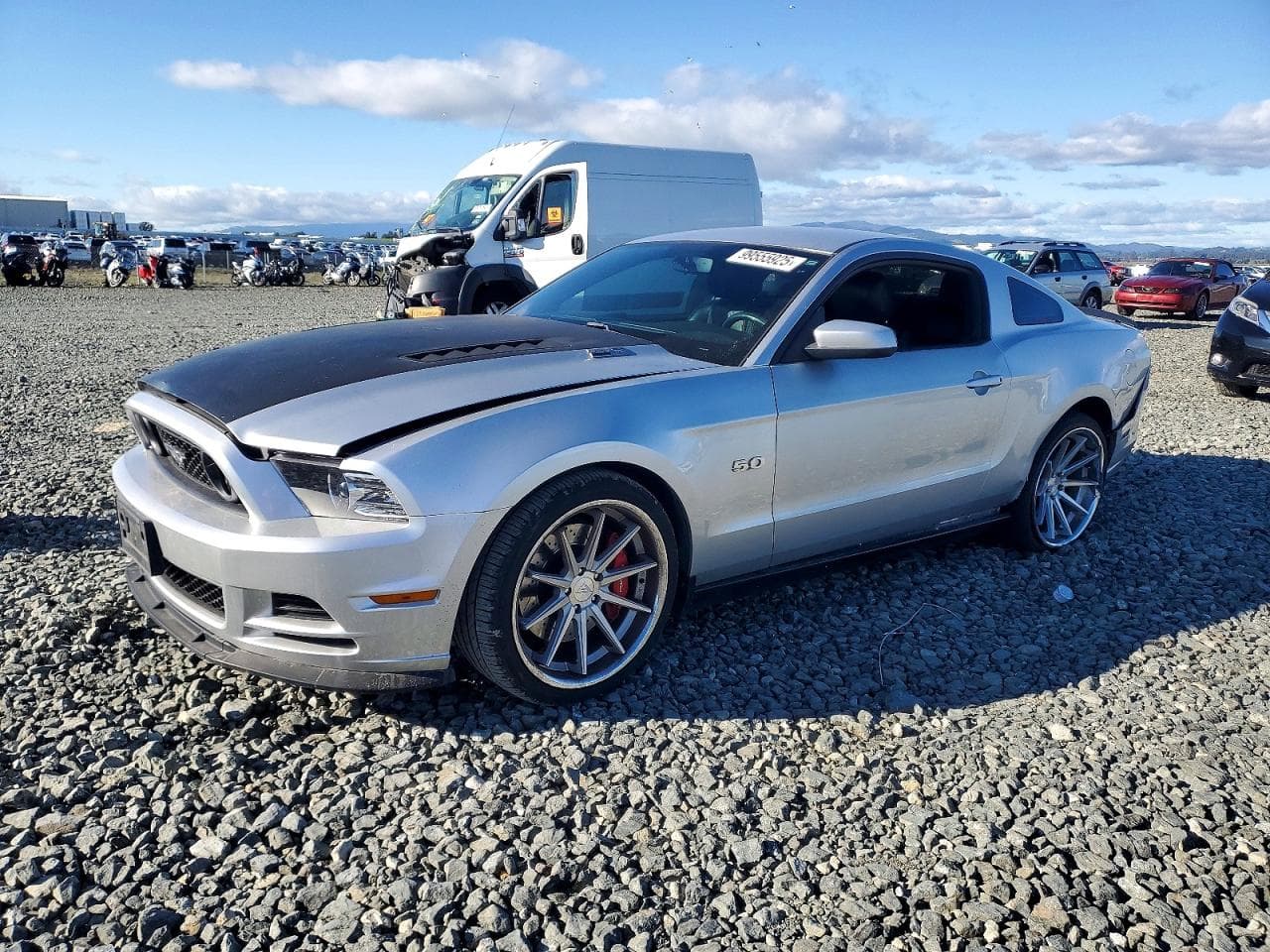 MUSTANG