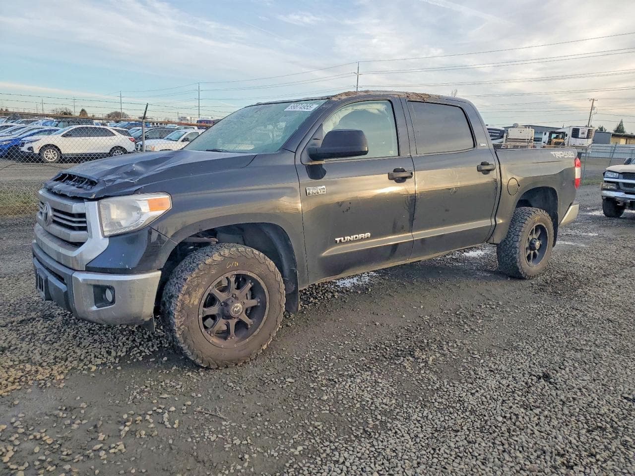 TUNDRA