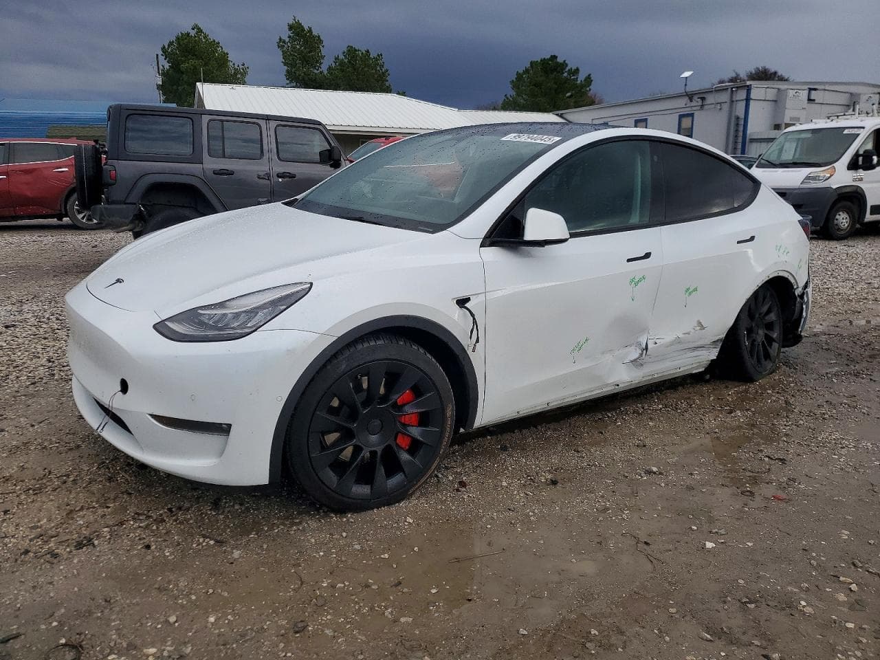 MODEL Y