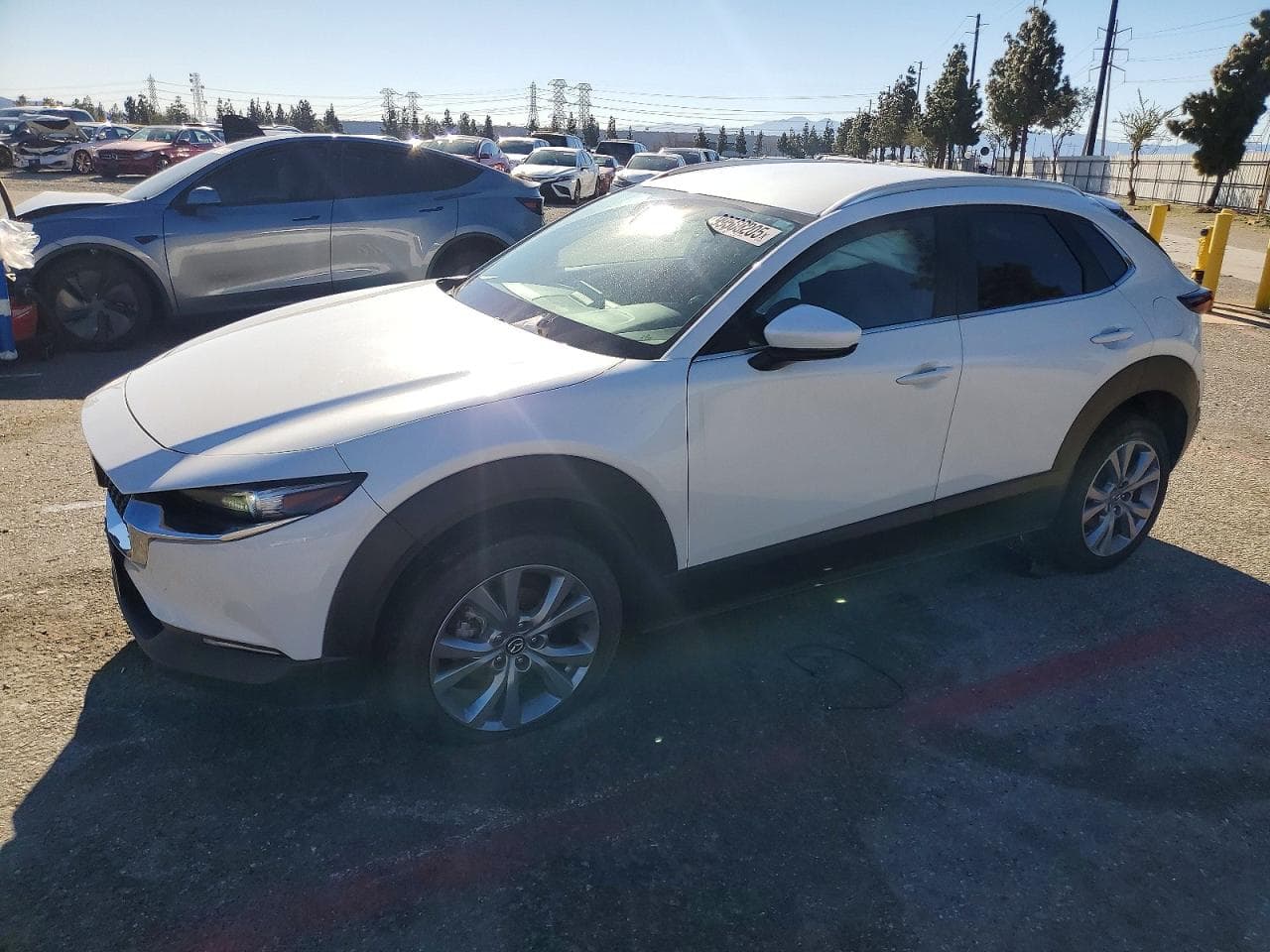 CX30