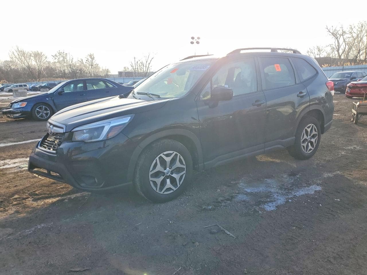 FORESTER