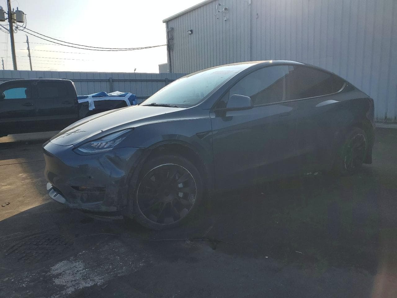 MODEL Y