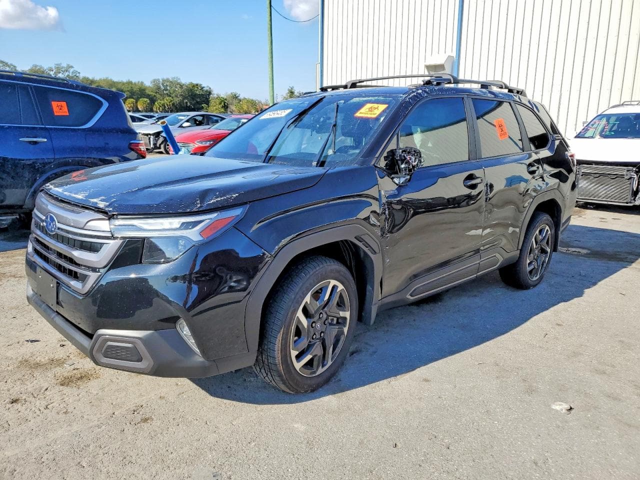 FORESTER