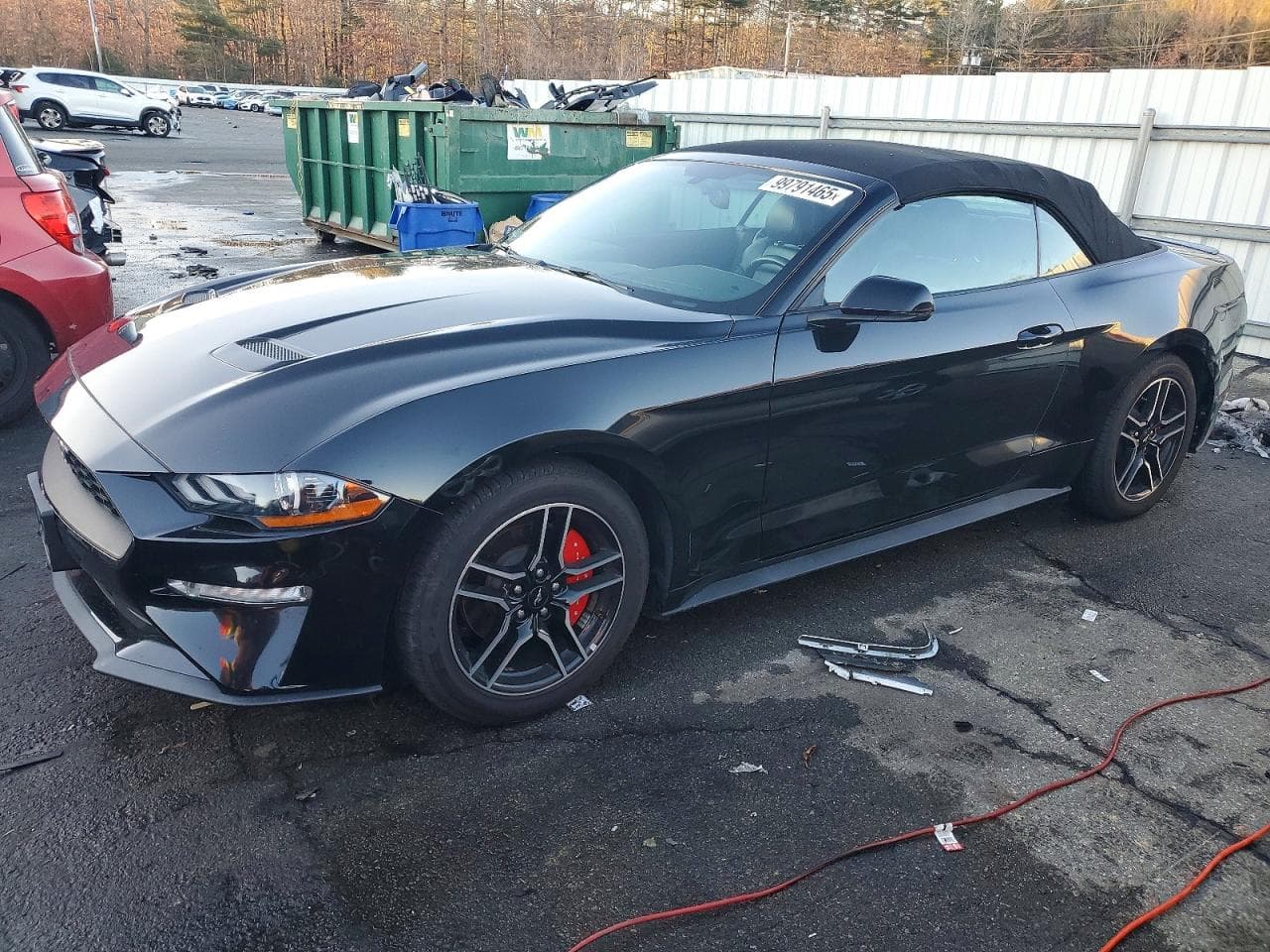 MUSTANG