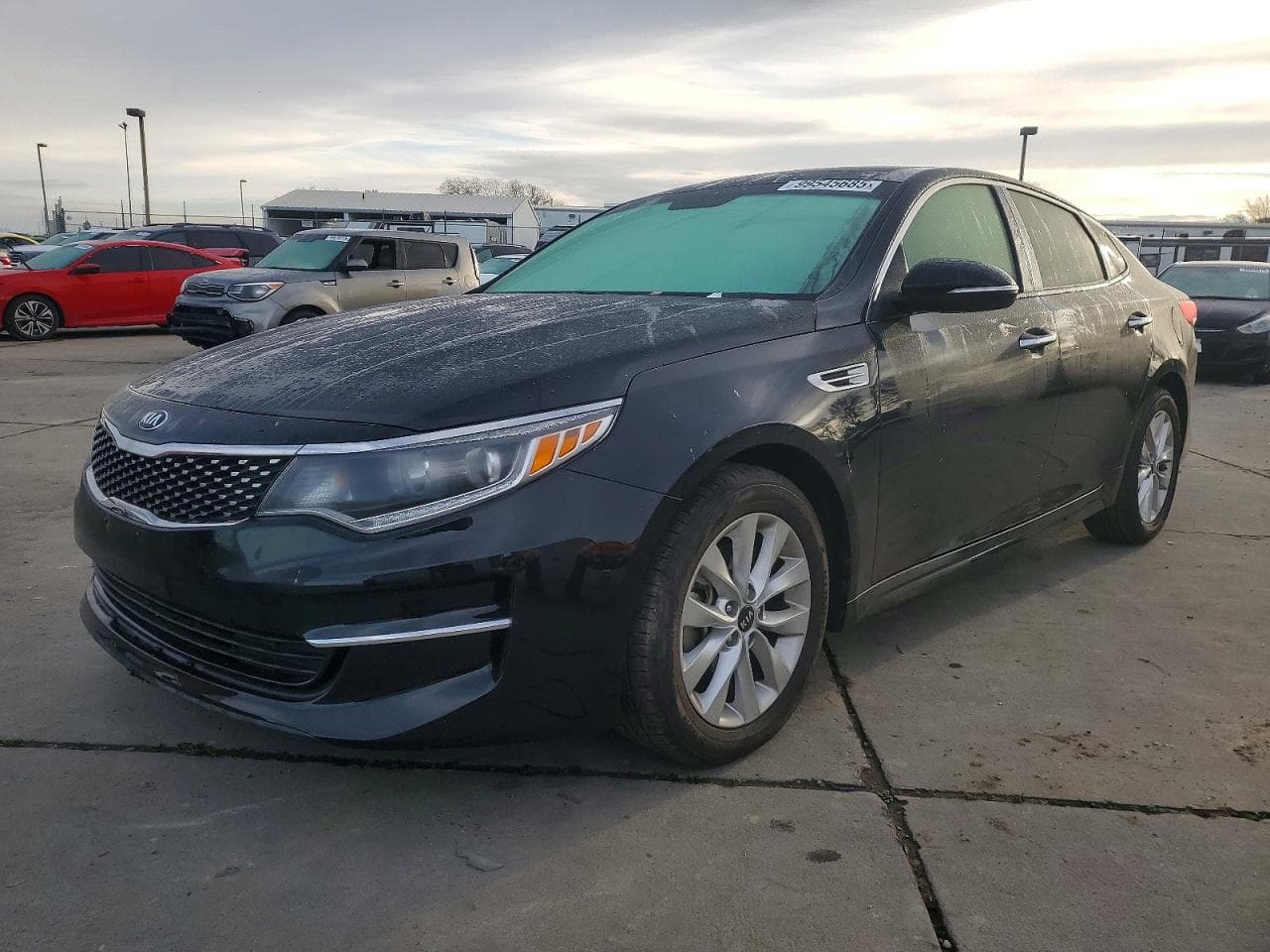 OPTIMA
