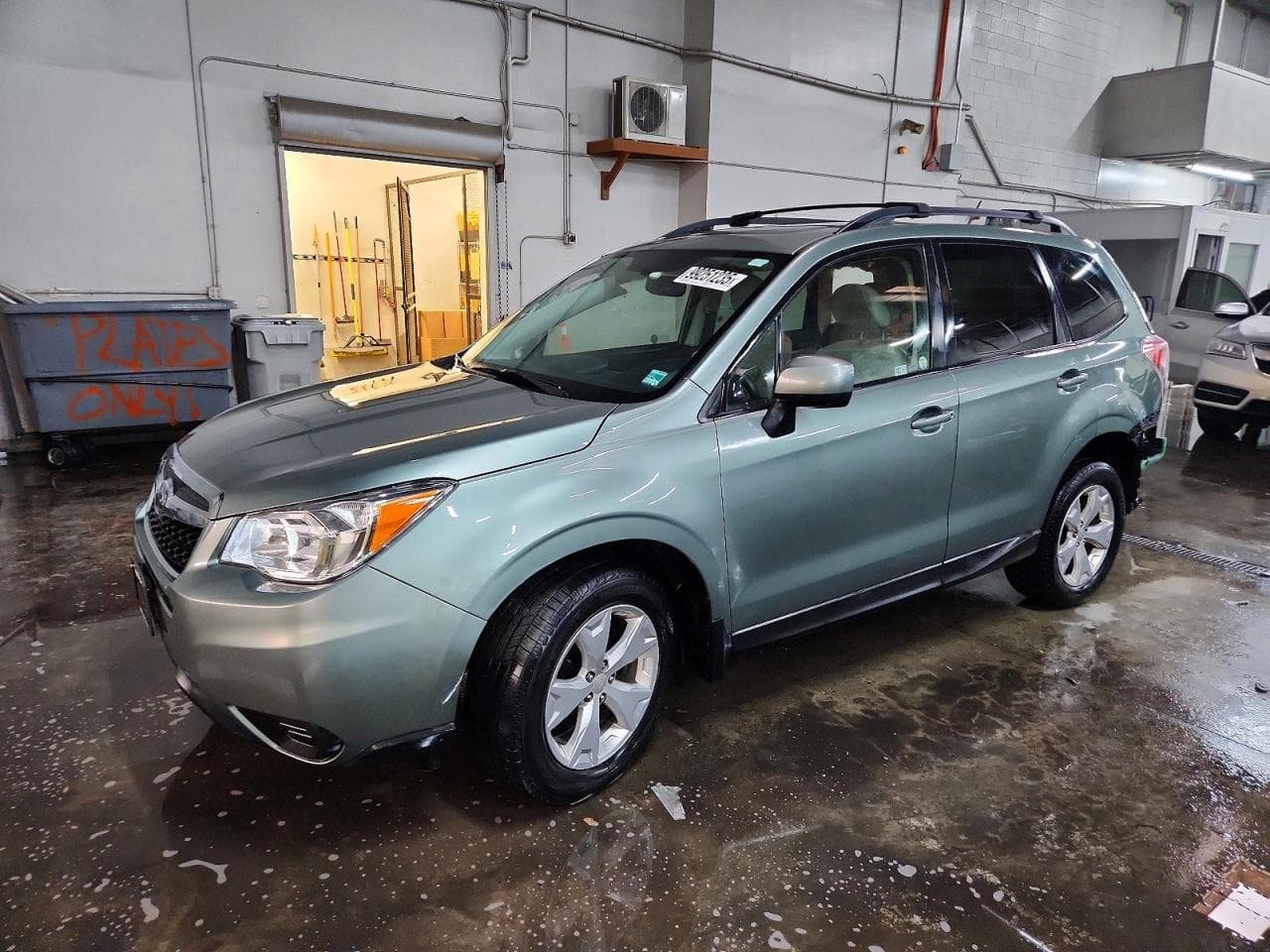 FORESTER