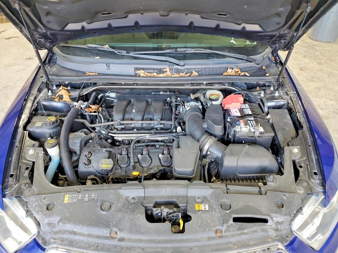 Foto 11
