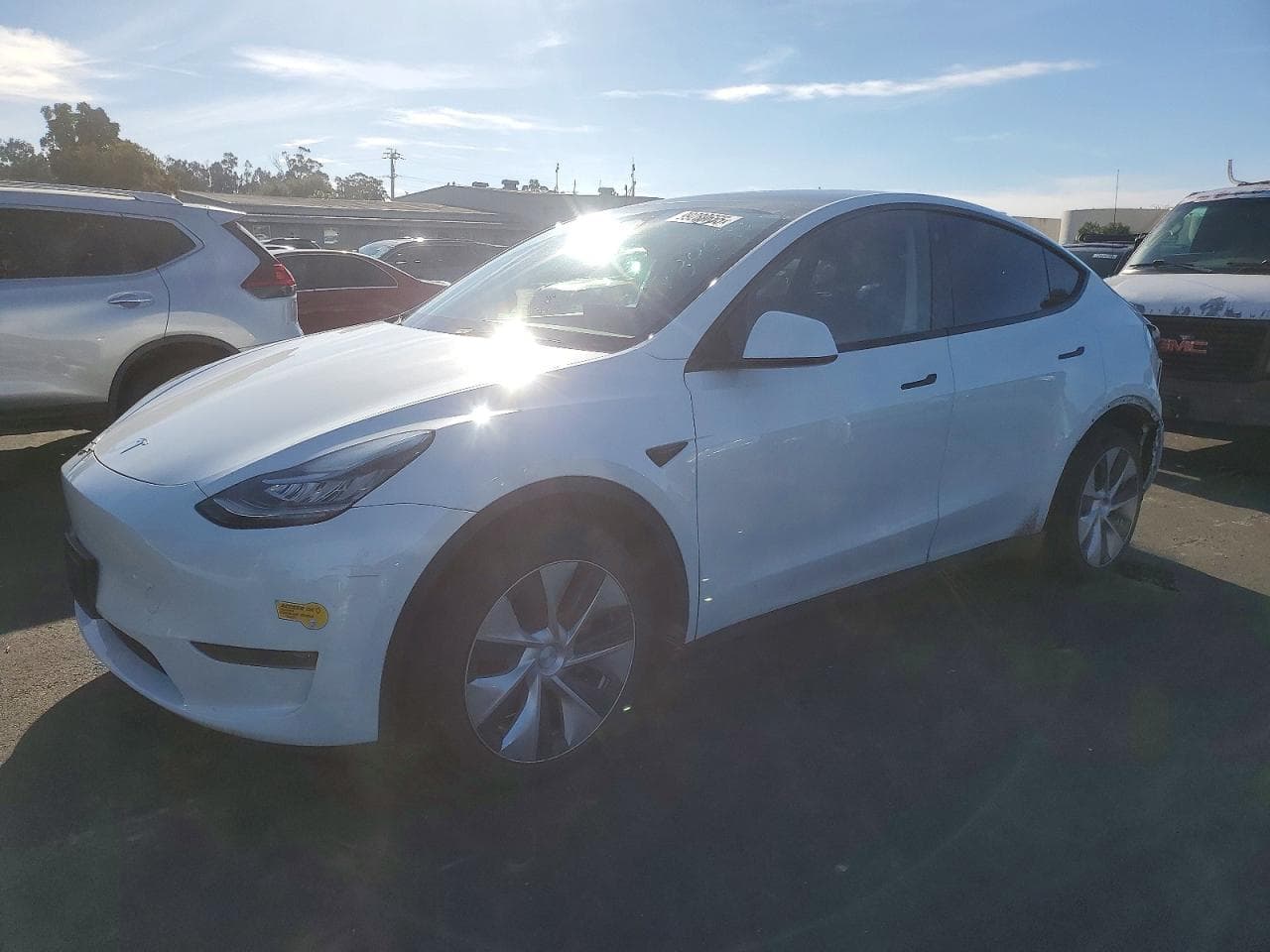 MODEL Y