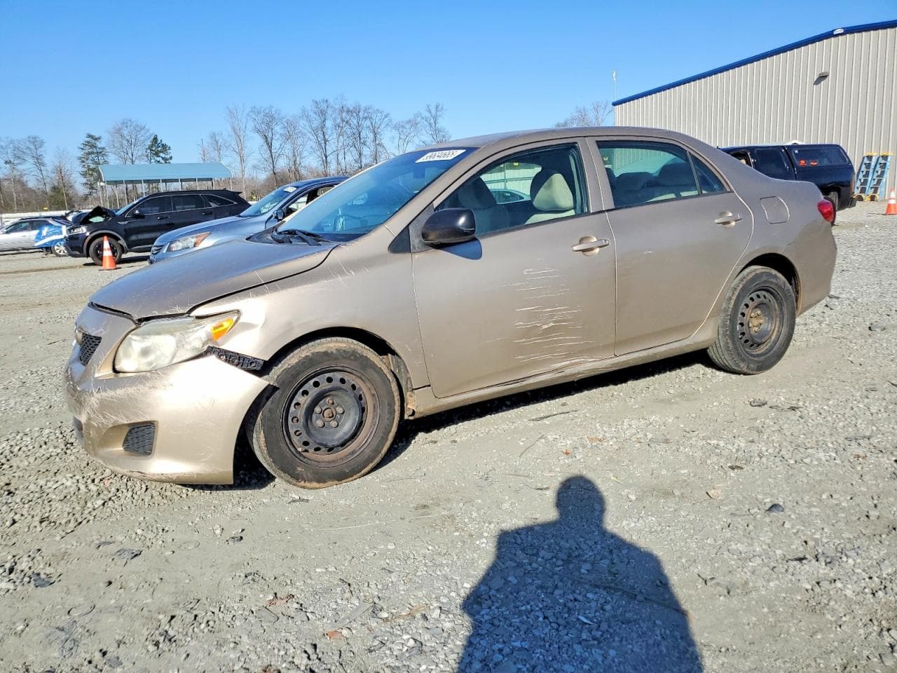 COROLLA
