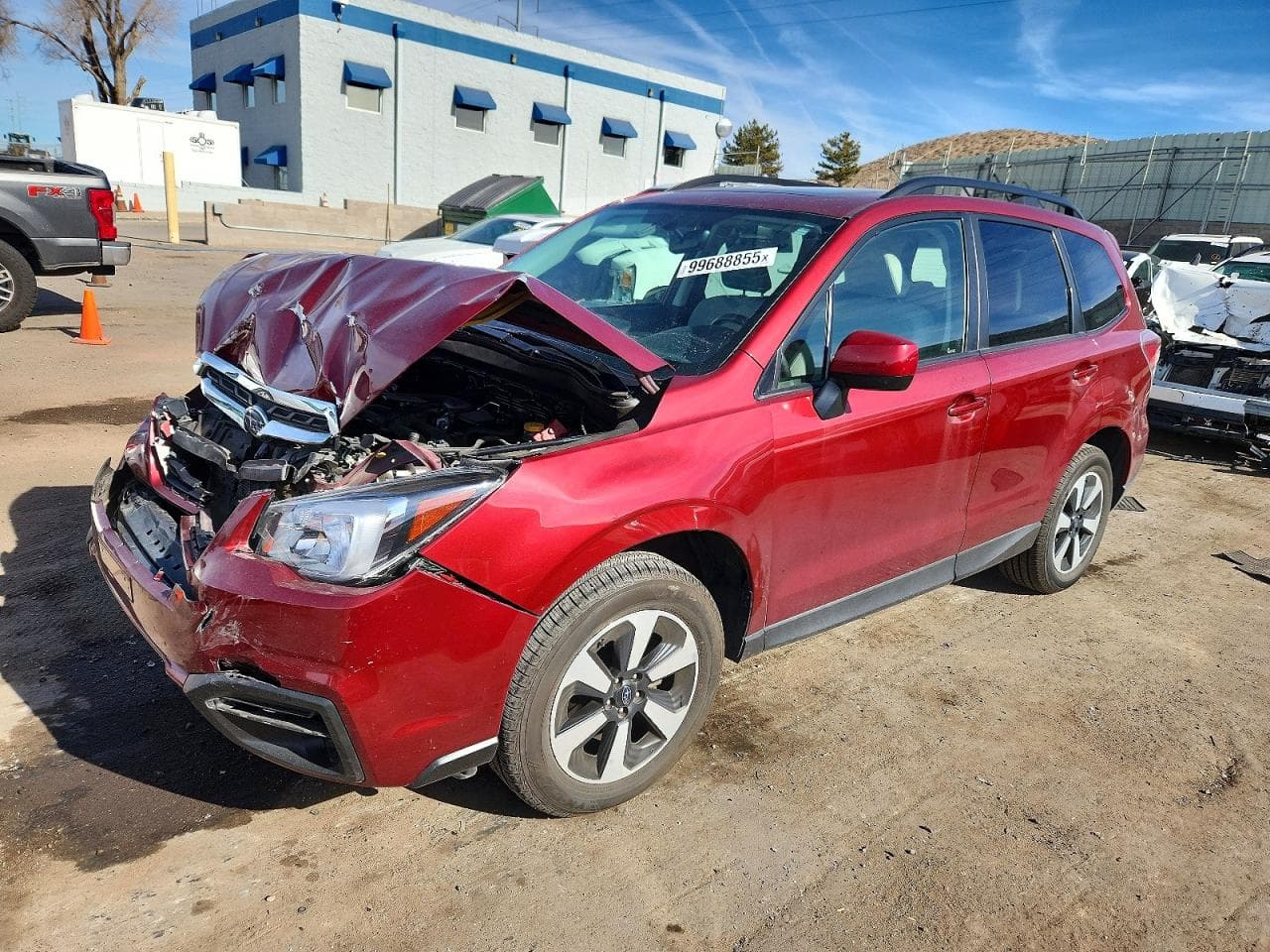 FORESTER