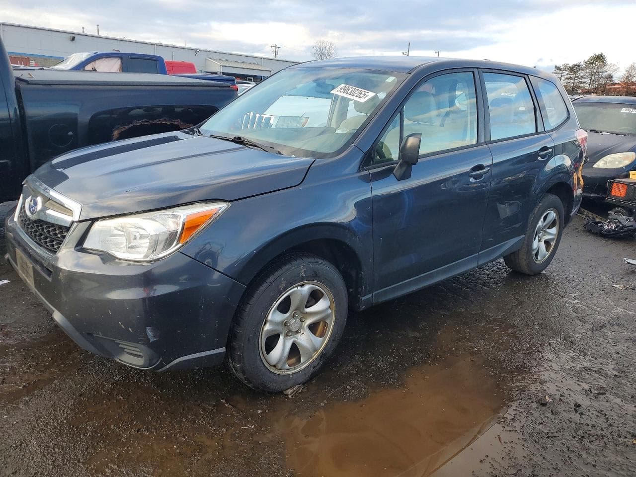 FORESTER