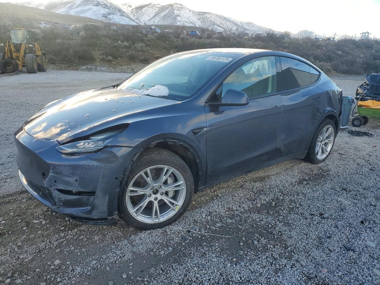 MODEL Y