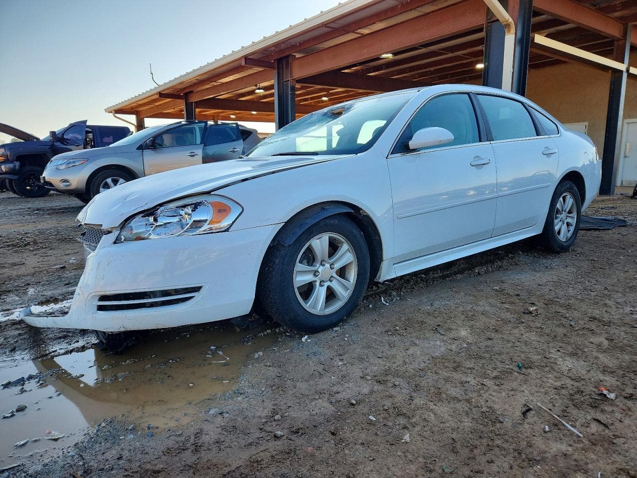IMPALA