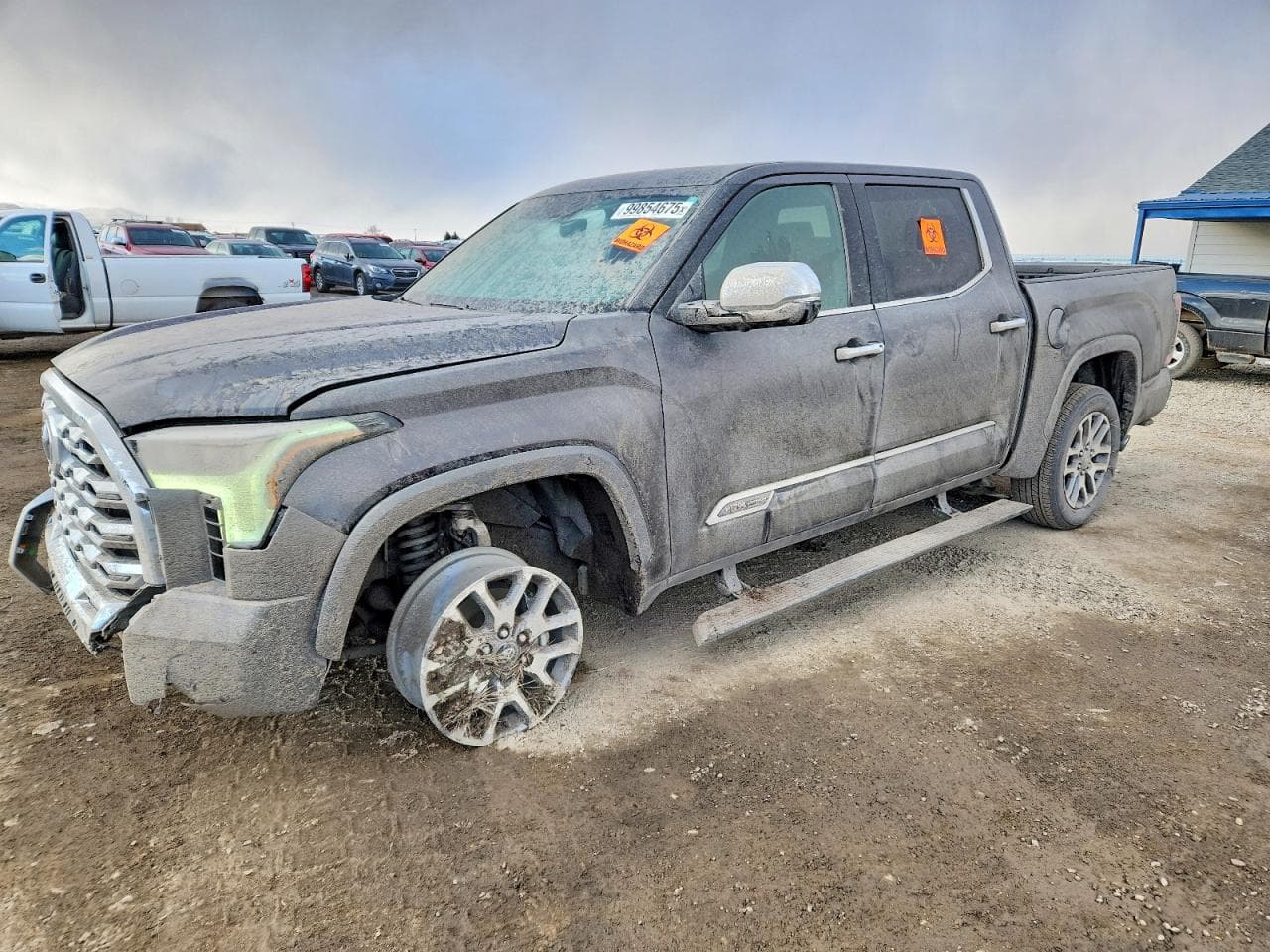 TUNDRA