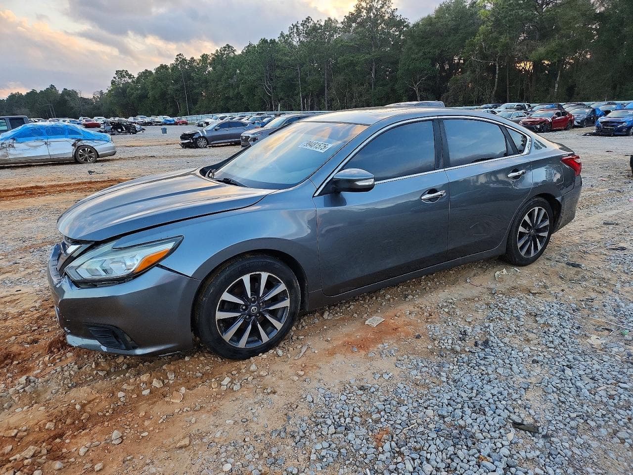 ALTIMA