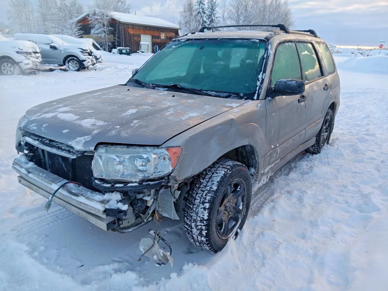 FORESTER