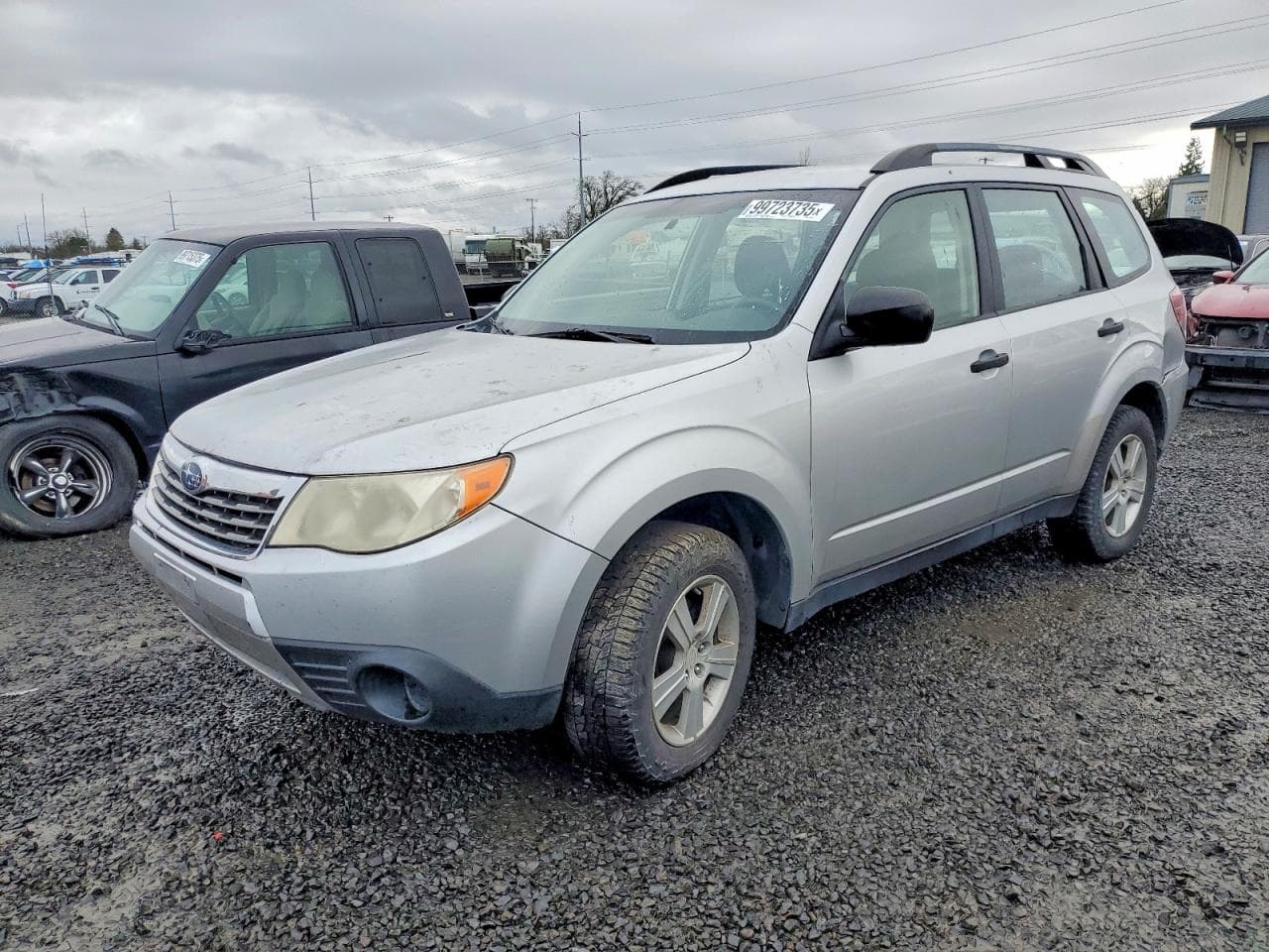 FORESTER