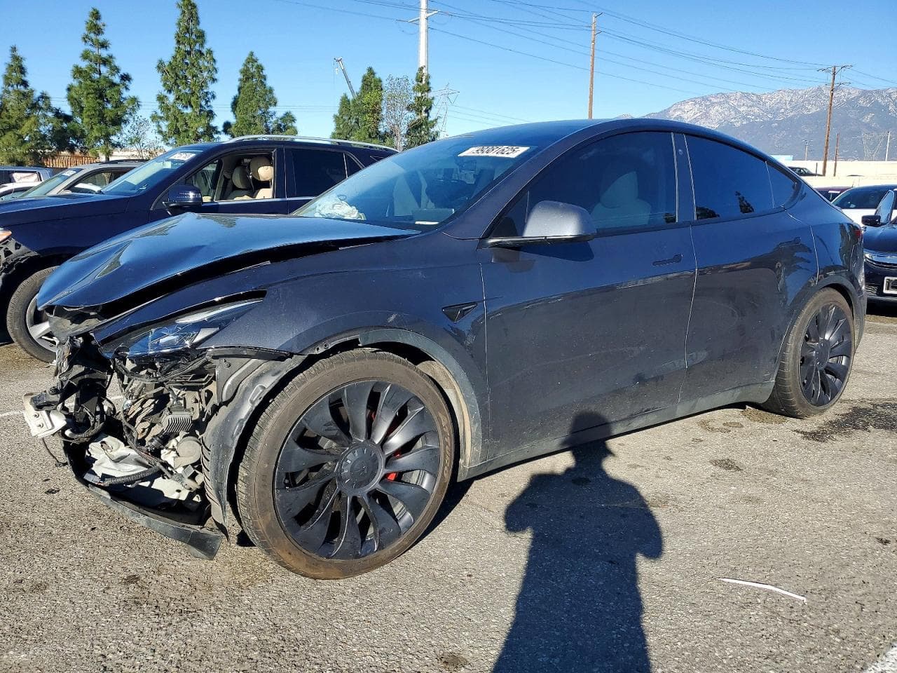 MODEL Y