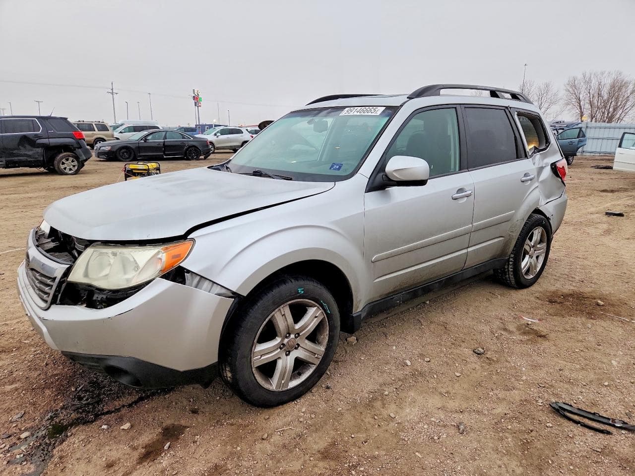FORESTER