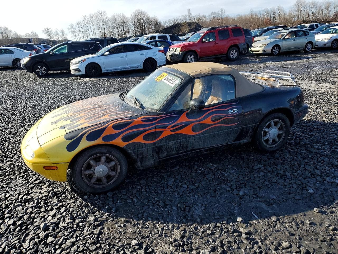 MX5