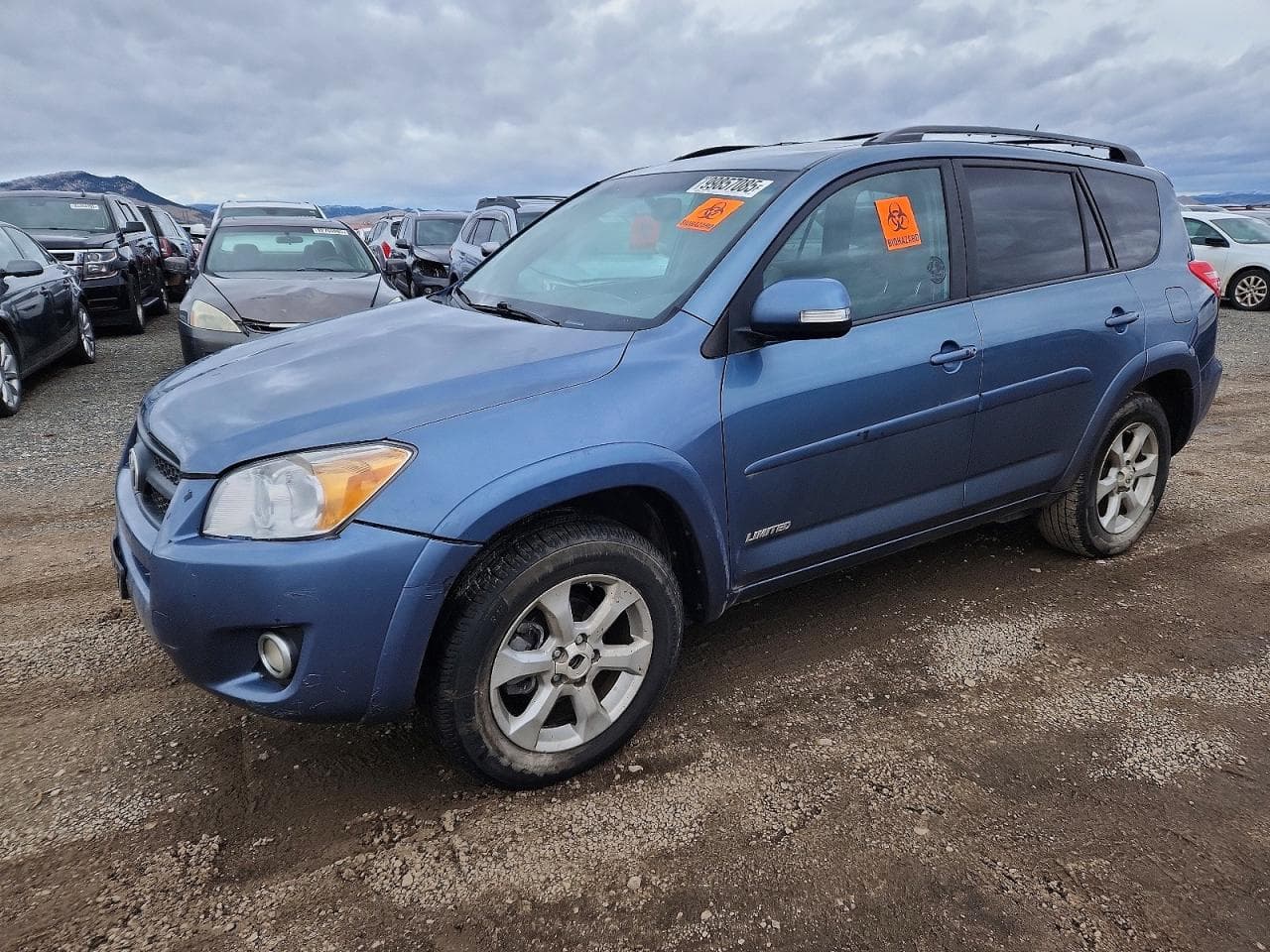 RAV4