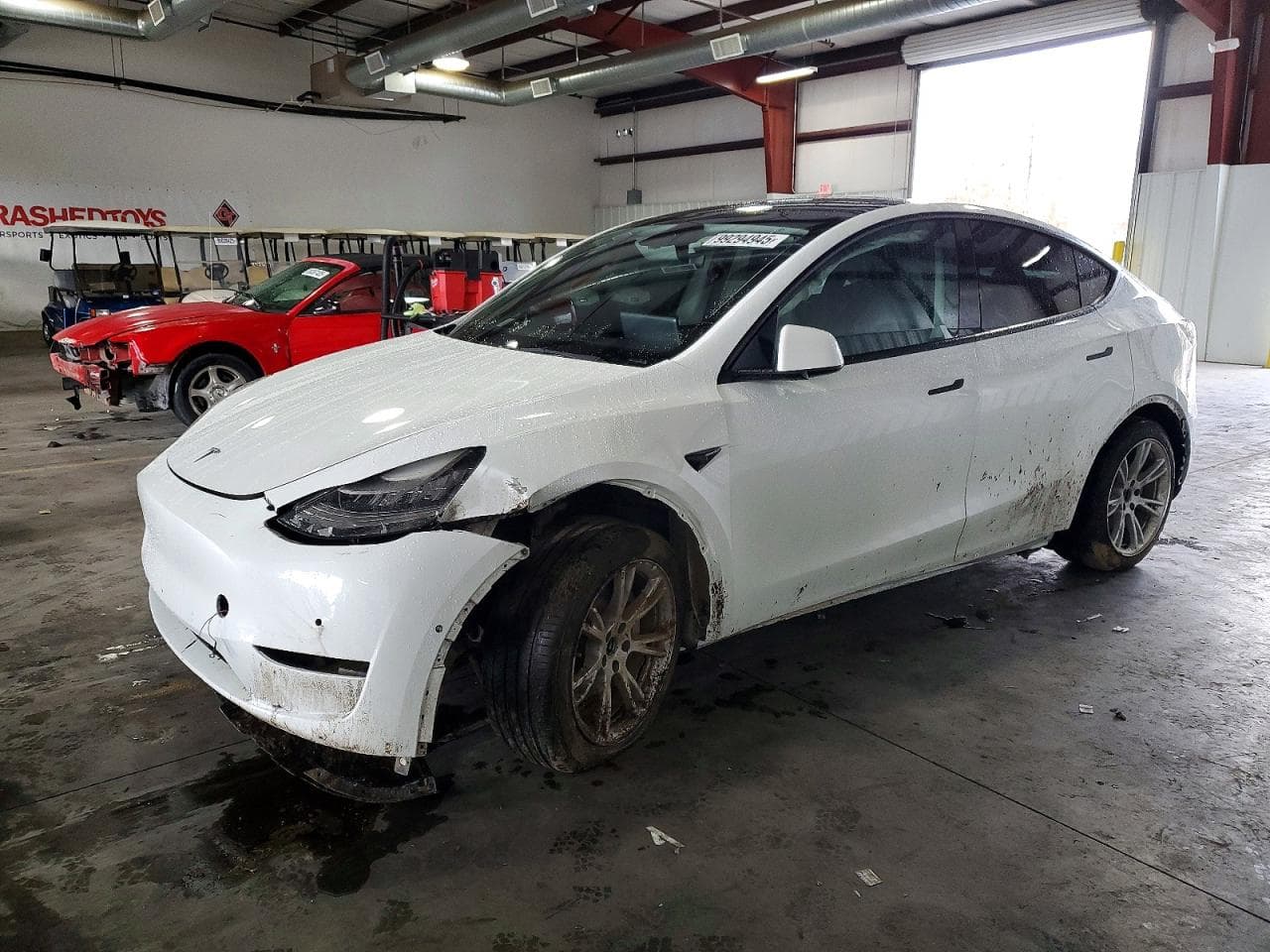 MODEL Y