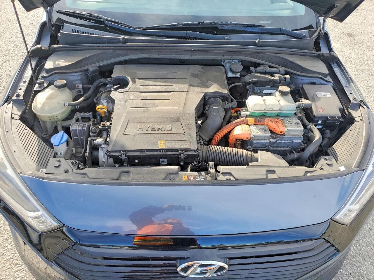 Foto 11