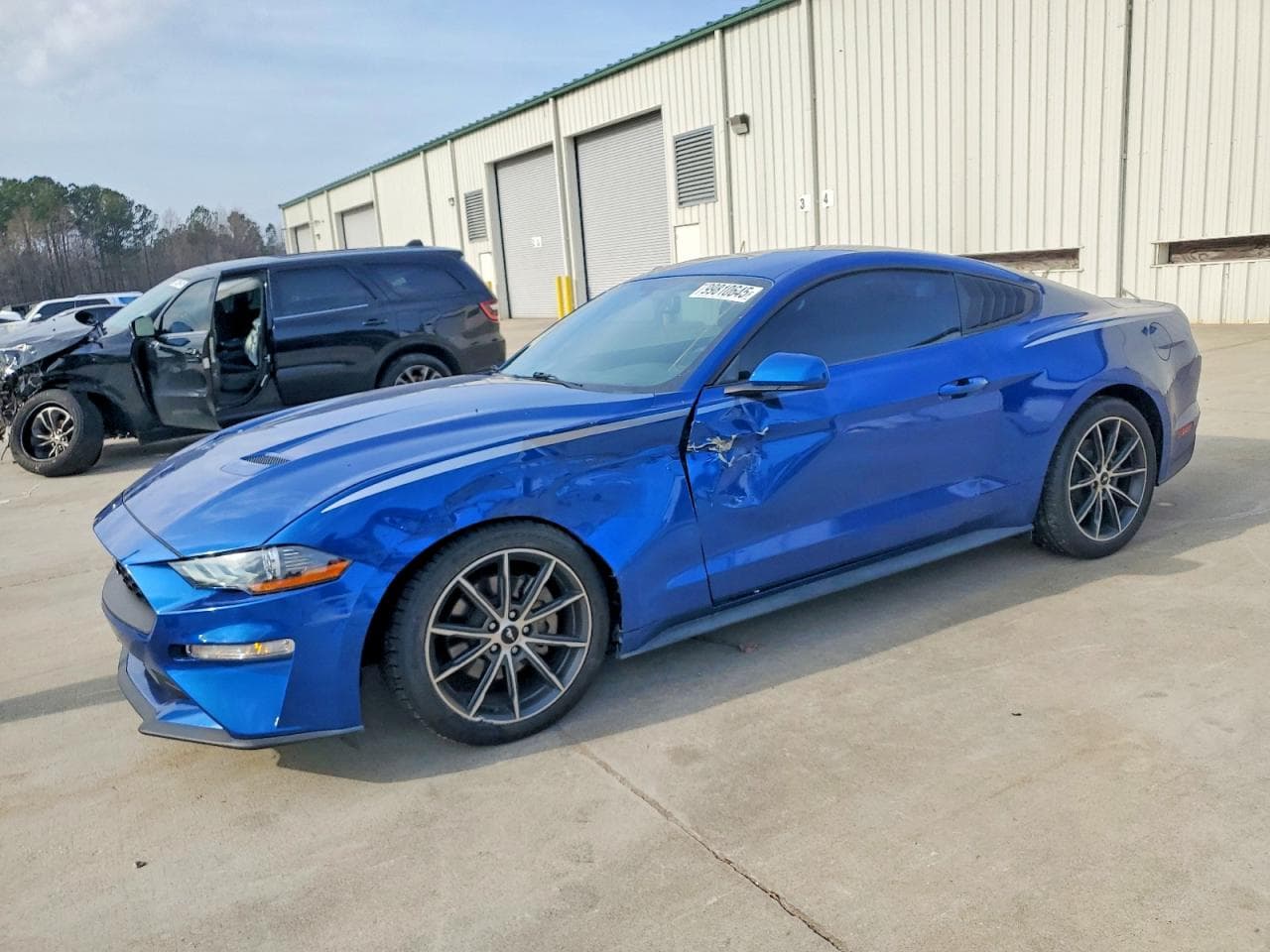 MUSTANG