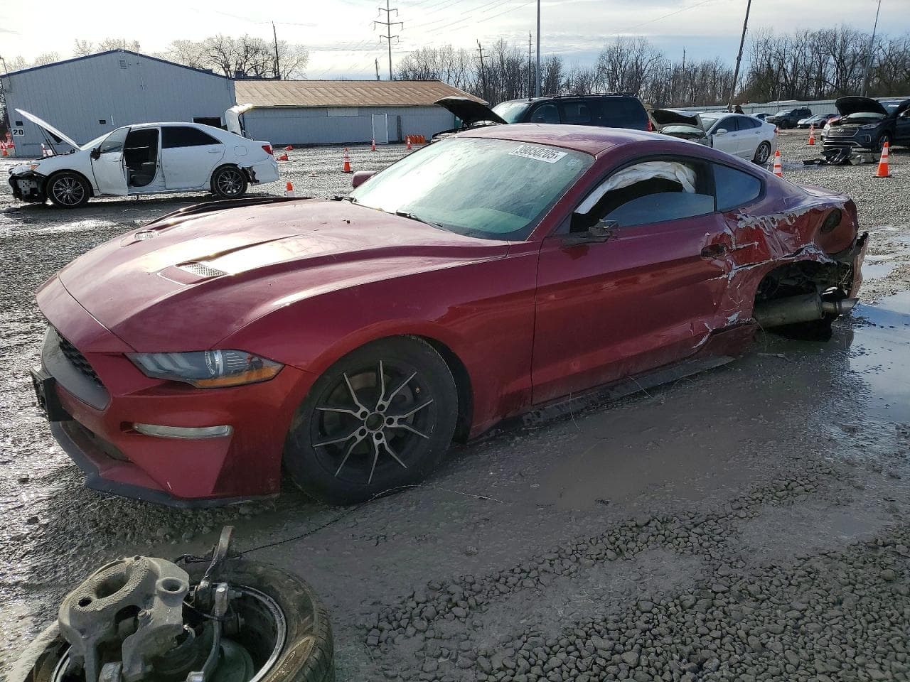 MUSTANG