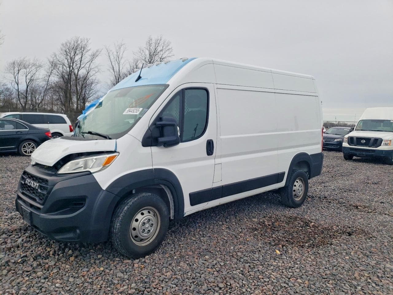 PROMASTER