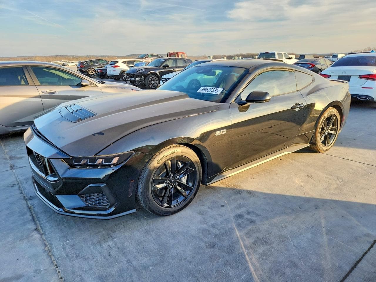 MUSTANG