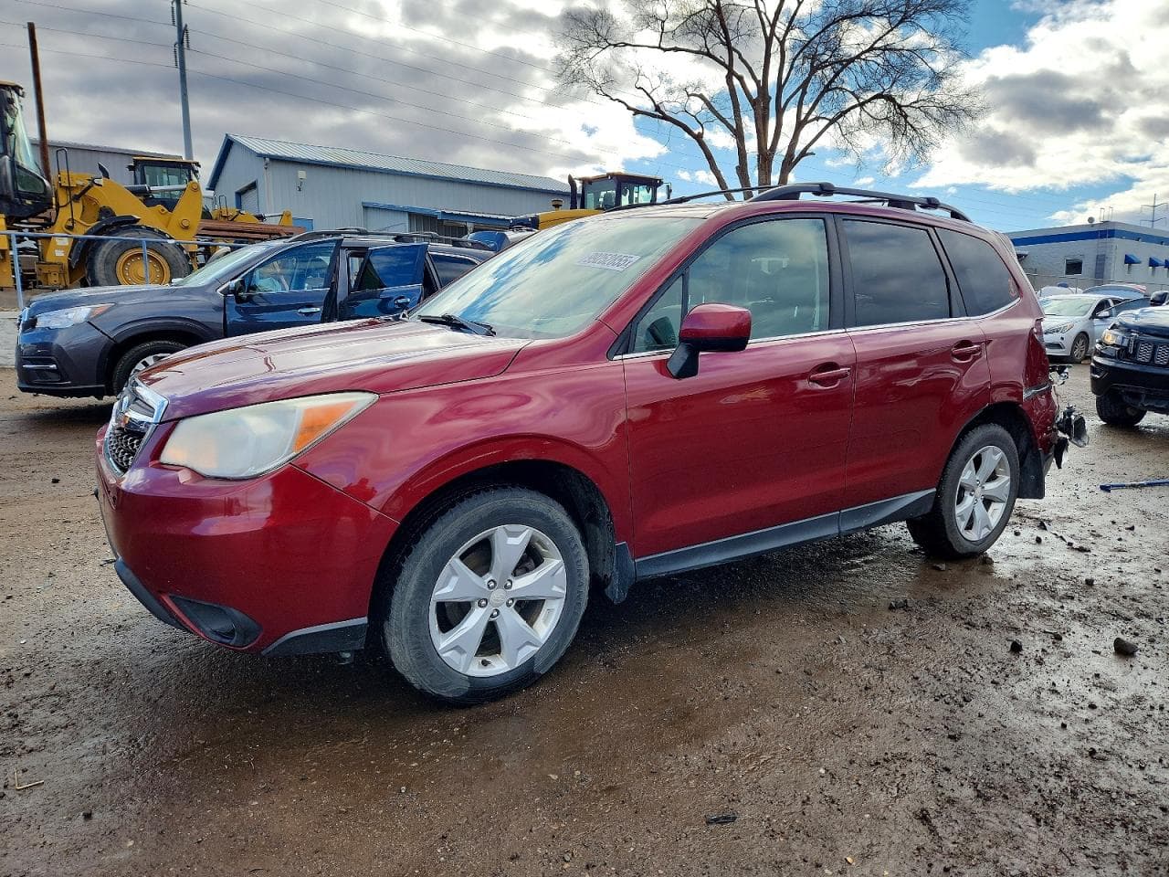 FORESTER