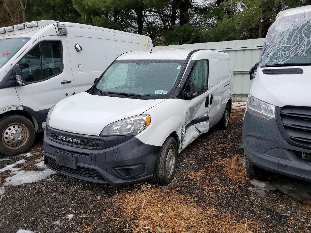 PROMASTER