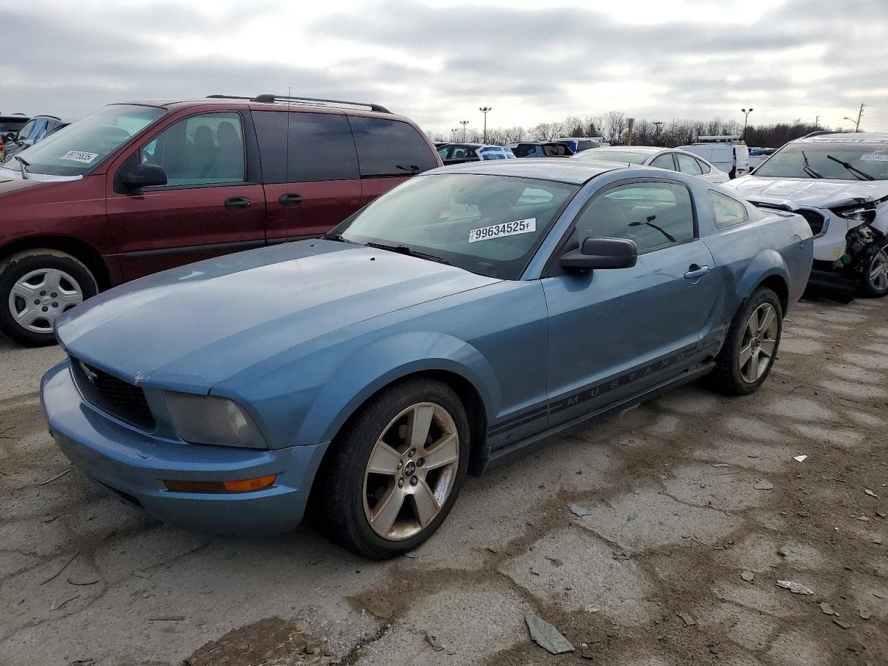 MUSTANG
