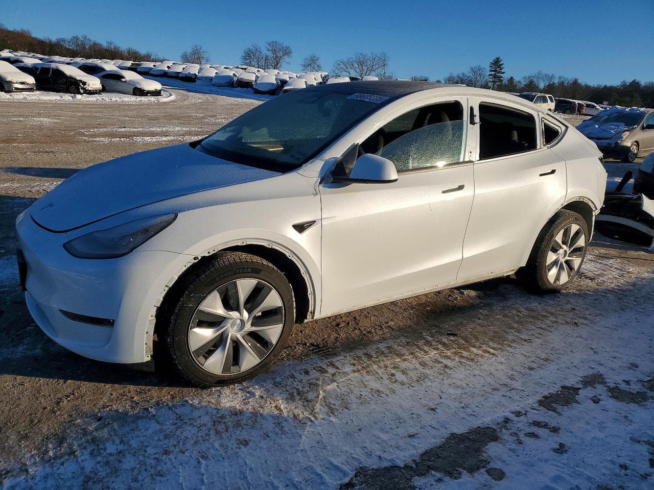 MODEL Y